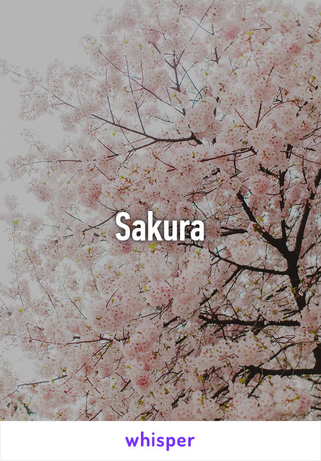 Sakura