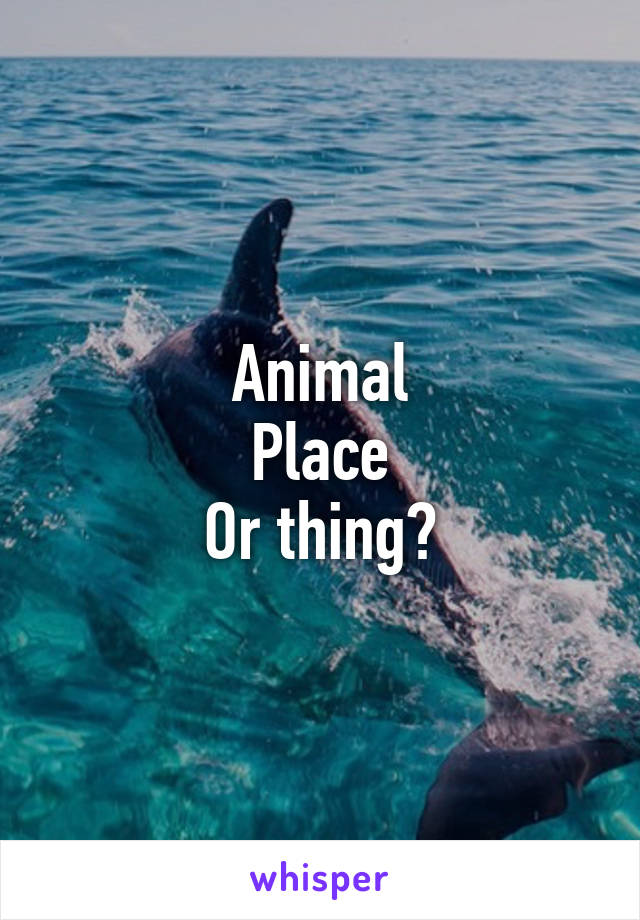 Animal
Place
Or thing?