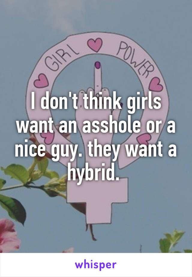 I don't think girls want an asshole or a nice guy. they want a hybrid. 