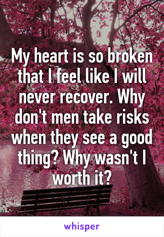 My heart is so broken that I feel like I will never recover. Why don't men take risks when they see a good thing? Why wasn't I worth it?