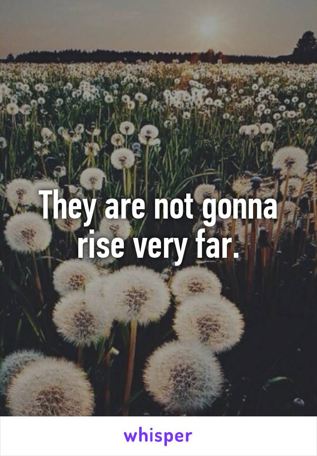 They are not gonna rise very far.