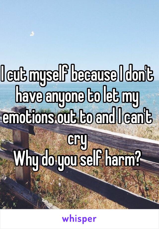 I cut myself because I don't have anyone to let my emotions out to and I can't cry
Why do you self harm?