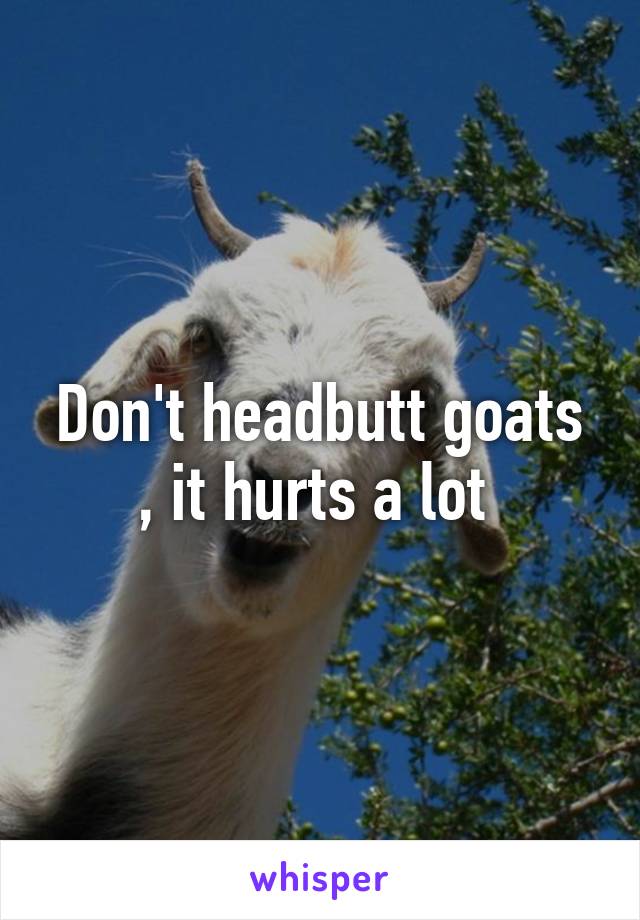 Don't headbutt goats , it hurts a lot 