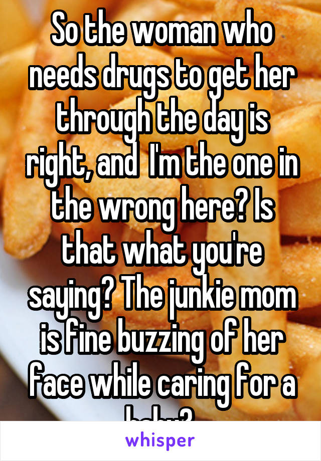 So the woman who needs drugs to get her through the day is right, and  I'm the one in the wrong here? Is that what you're saying? The junkie mom is fine buzzing of her face while caring for a baby? 