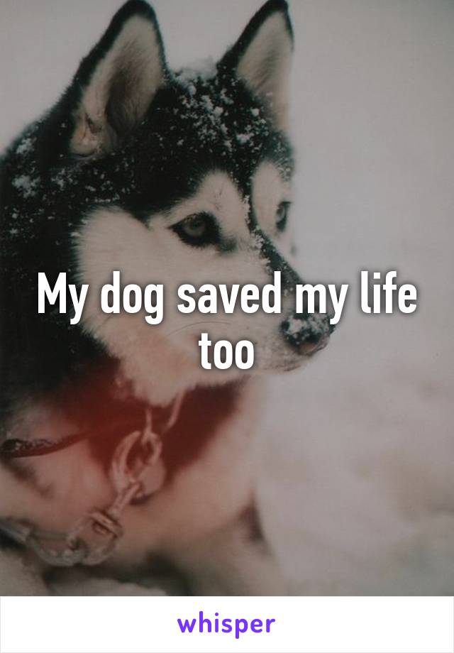My dog saved my life too