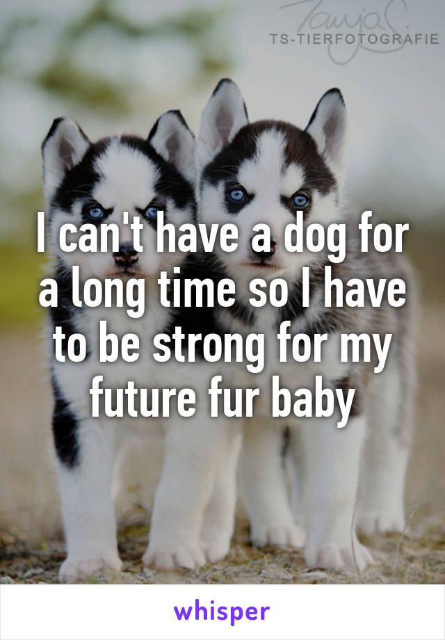 I can't have a dog for a long time so I have to be strong for my future fur baby