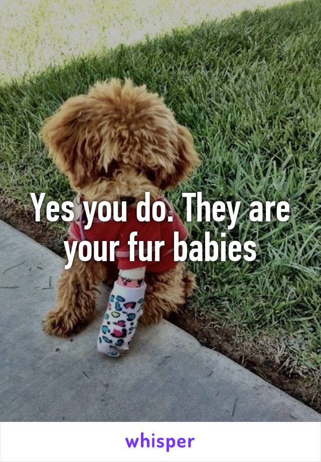 Yes you do. They are your fur babies