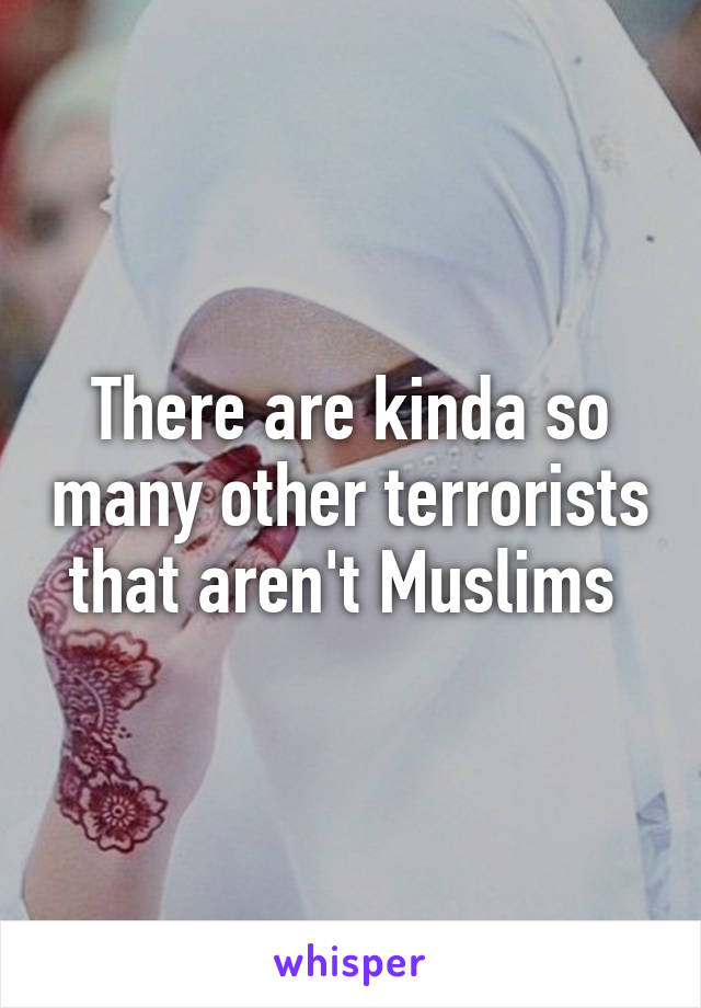 There are kinda so many other terrorists that aren't Muslims 