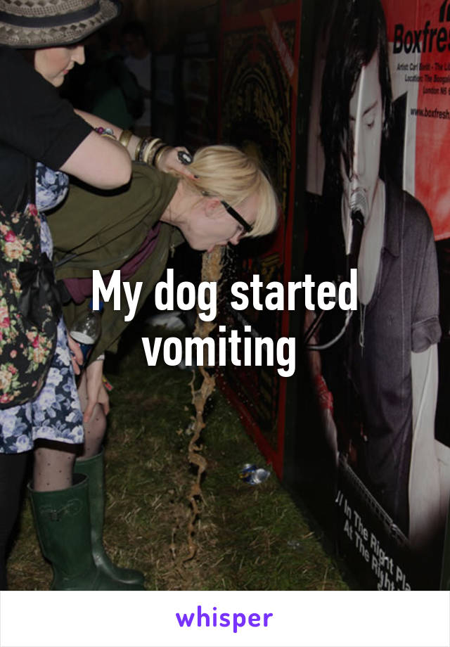 My dog started vomiting 