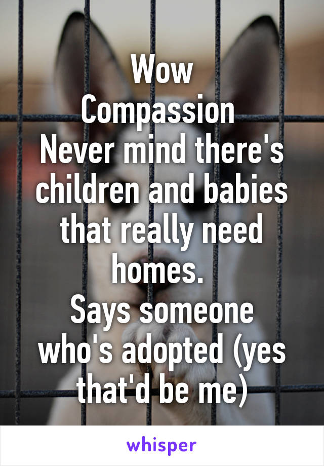 Wow
Compassion 
Never mind there's children and babies that really need homes. 
Says someone who's adopted (yes that'd be me)