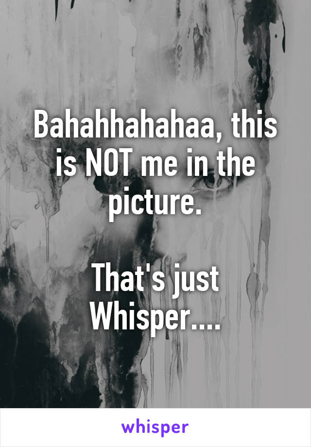 Bahahhahahaa, this is NOT me in the picture.

That's just Whisper....