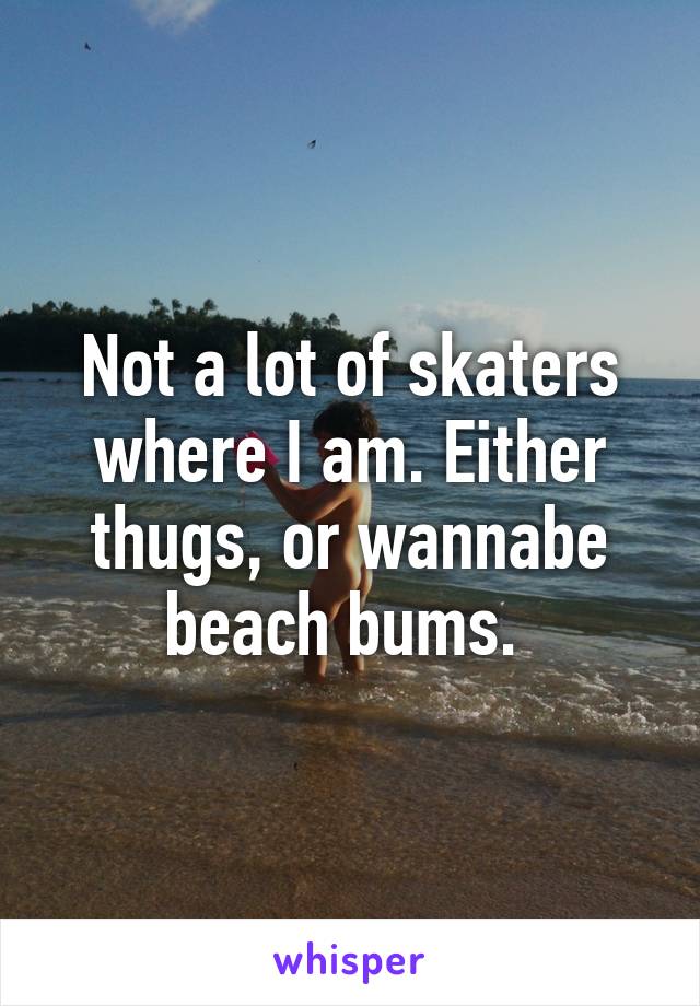 Not a lot of skaters where I am. Either thugs, or wannabe beach bums. 