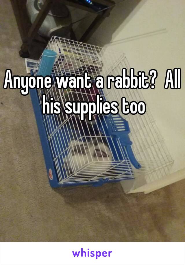 Anyone want a rabbit?  All his supplies too