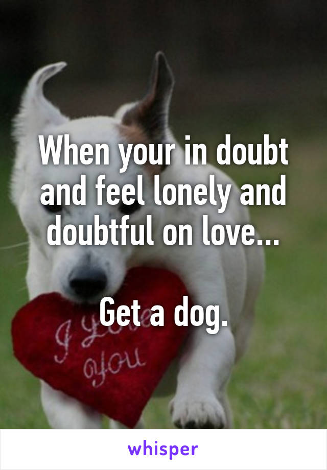 When your in doubt and feel lonely and doubtful on love...

Get a dog.