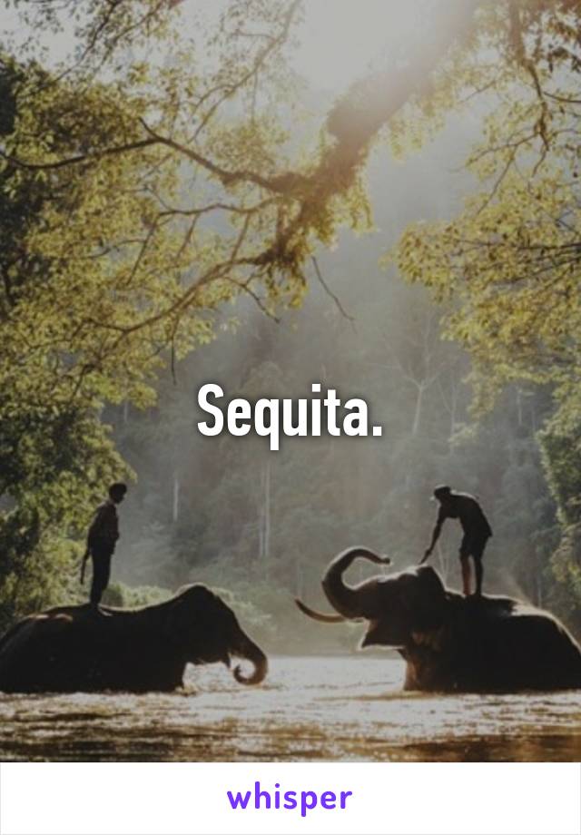 Sequita.