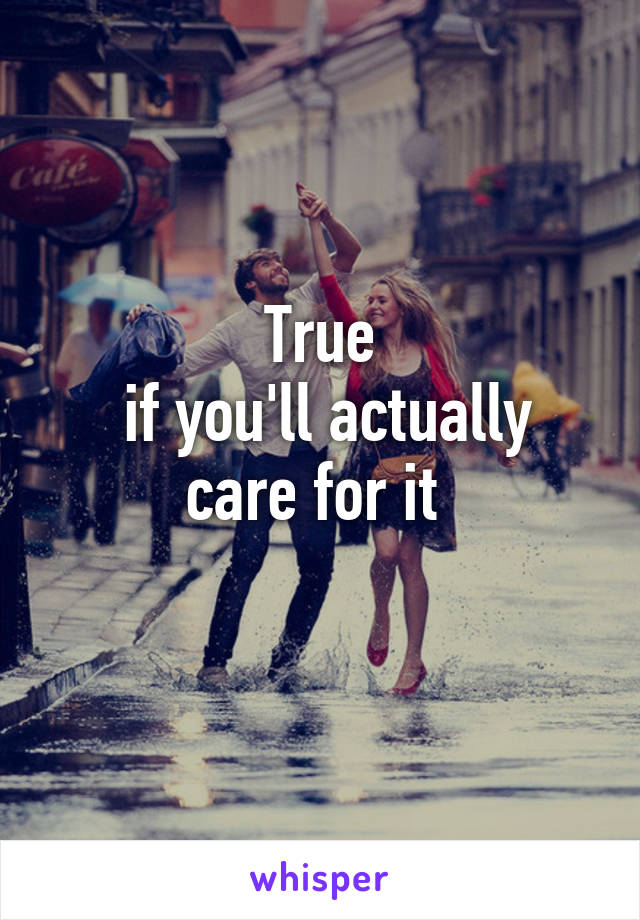 True
 if you'll actually care for it 
