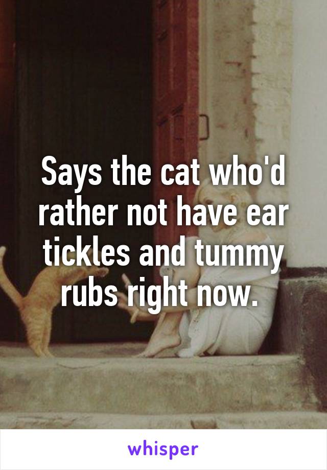 Says the cat who'd rather not have ear tickles and tummy rubs right now. 