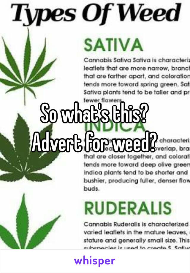 So what's this?
Advert for weed?