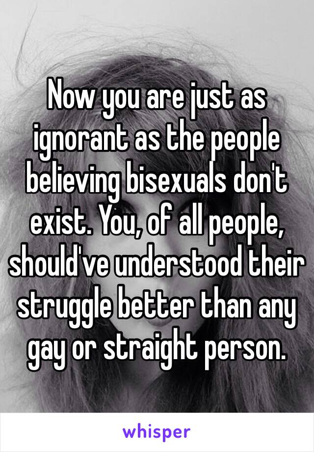 Now you are just as ignorant as the people believing bisexuals don't exist. You, of all people, should've understood their struggle better than any gay or straight person.
