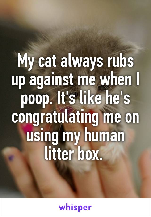 My cat always rubs up against me when I poop. It's like he's congratulating me on using my human litter box. 