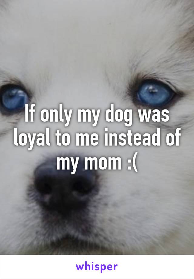 If only my dog was loyal to me instead of my mom :(