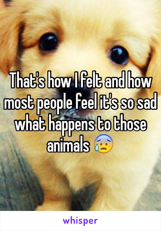 That's how I felt and how most people feel it's so sad what happens to those animals 😰