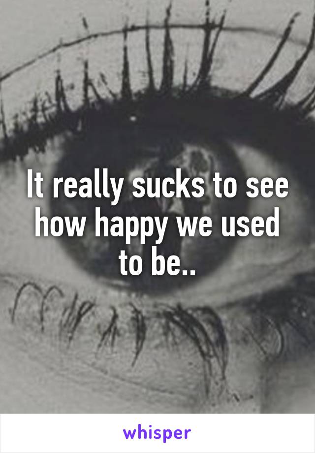 It really sucks to see how happy we used to be..