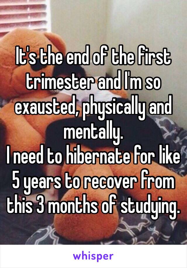 It's the end of the first trimester and I'm so exausted, physically and mentally.   
I need to hibernate for like 5 years to recover from this 3 months of studying. 