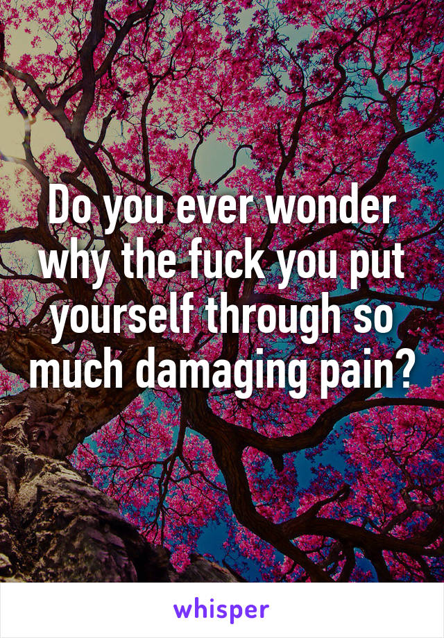 Do you ever wonder why the fuck you put yourself through so much damaging pain? 