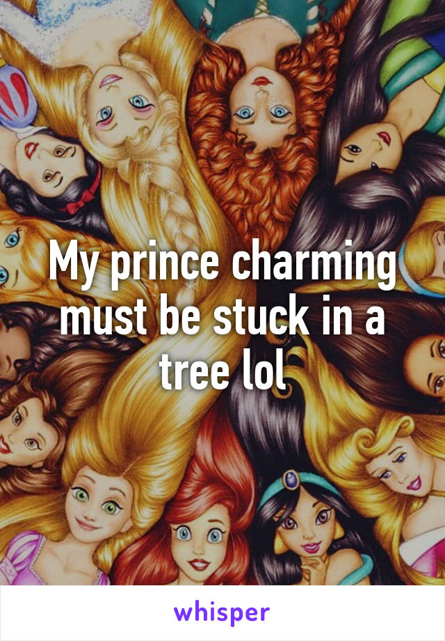 My prince charming must be stuck in a tree lol