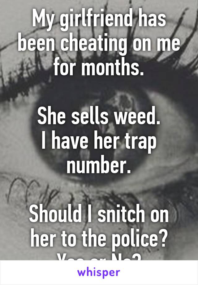 My girlfriend has been cheating on me for months.

She sells weed.
I have her trap number.

Should I snitch on her to the police?
Yes or No?