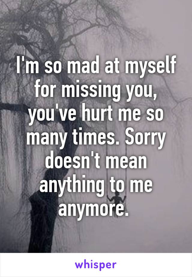 I'm so mad at myself for missing you, you've hurt me so many times. Sorry doesn't mean anything to me anymore. 