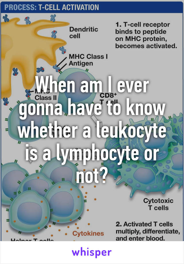 When am I ever gonna have to know whether a leukocyte is a lymphocyte or not?