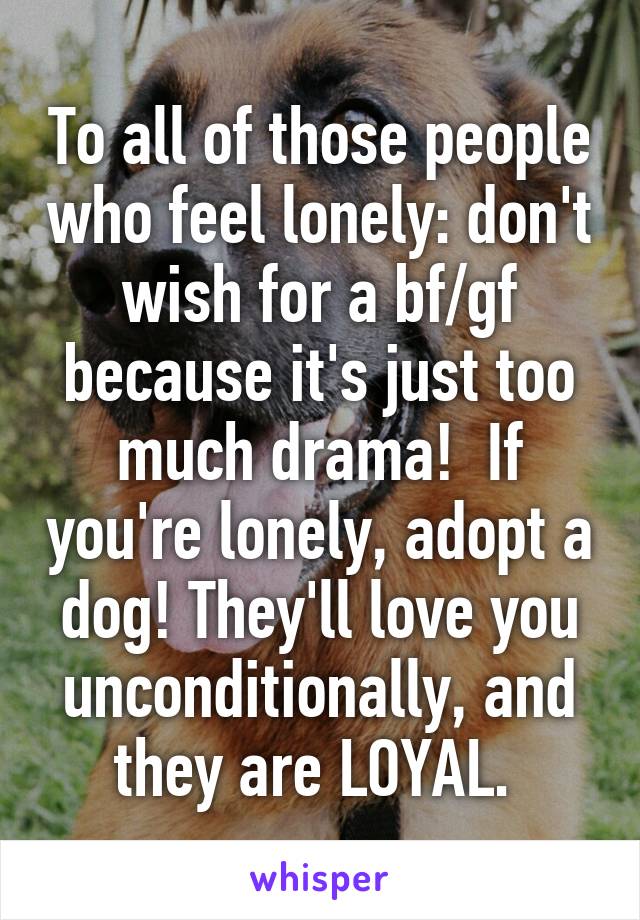 To all of those people who feel lonely: don't wish for a bf/gf because it's just too much drama!  If you're lonely, adopt a dog! They'll love you unconditionally, and they are LOYAL. 