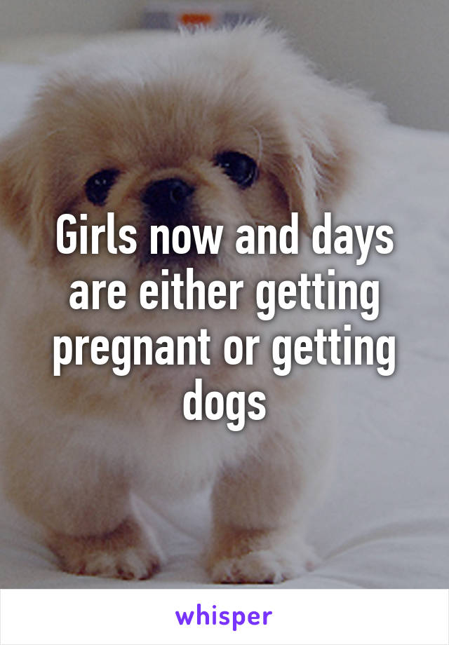 Girls now and days are either getting pregnant or getting dogs