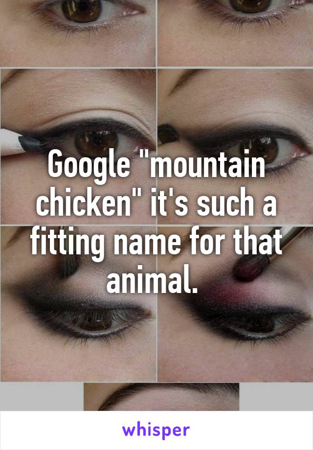 Google "mountain chicken" it's such a fitting name for that animal. 