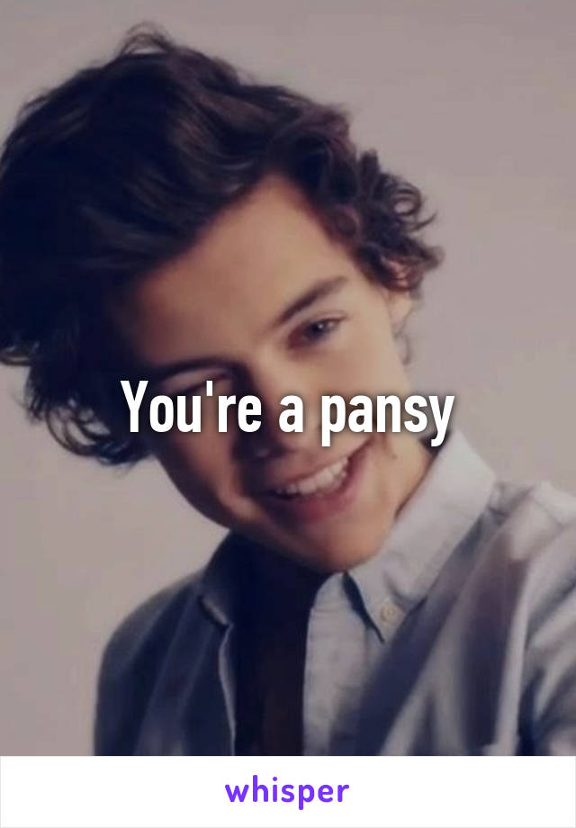 You're a pansy