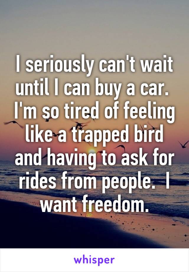 I seriously can't wait until I can buy a car.  I'm so tired of feeling like a trapped bird and having to ask for rides from people.  I want freedom.