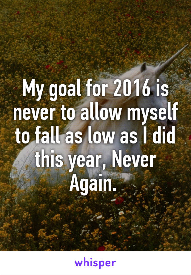 My goal for 2016 is never to allow myself to fall as low as I did this year, Never Again. 