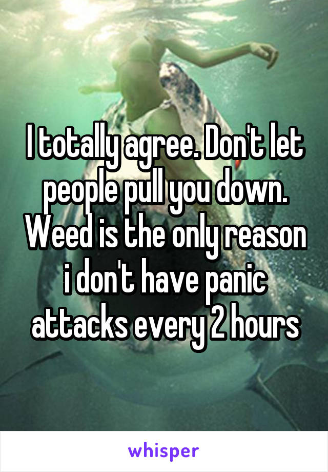 I totally agree. Don't let people pull you down. Weed is the only reason i don't have panic attacks every 2 hours