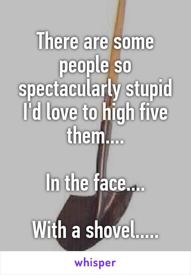 There are some people so spectacularly stupid I'd love to high five them....

In the face....

With a shovel.....