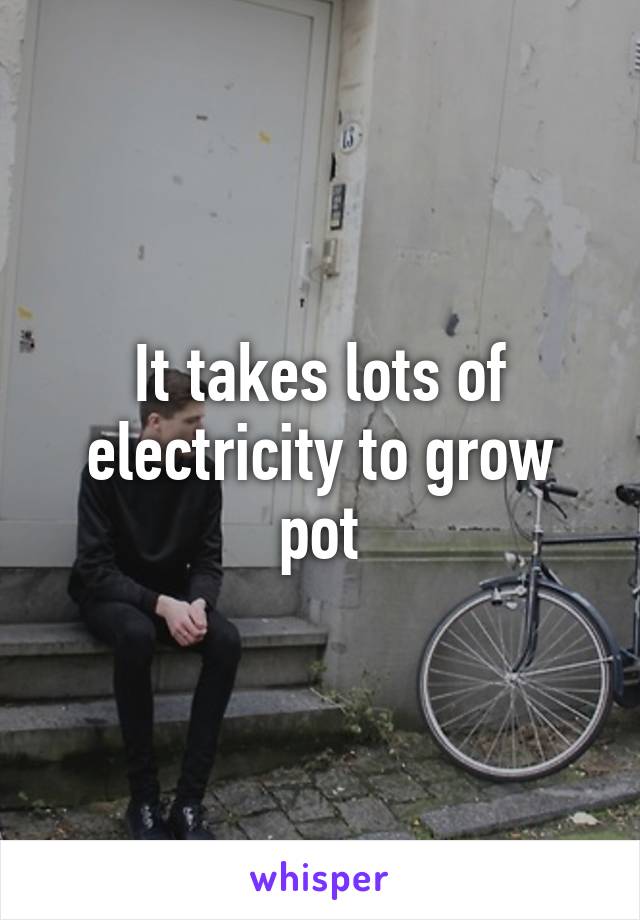 It takes lots of electricity to grow pot