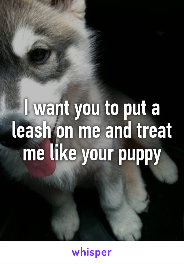 I want you to put a leash on me and treat me like your puppy