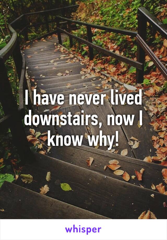 I have never lived downstairs, now I know why!