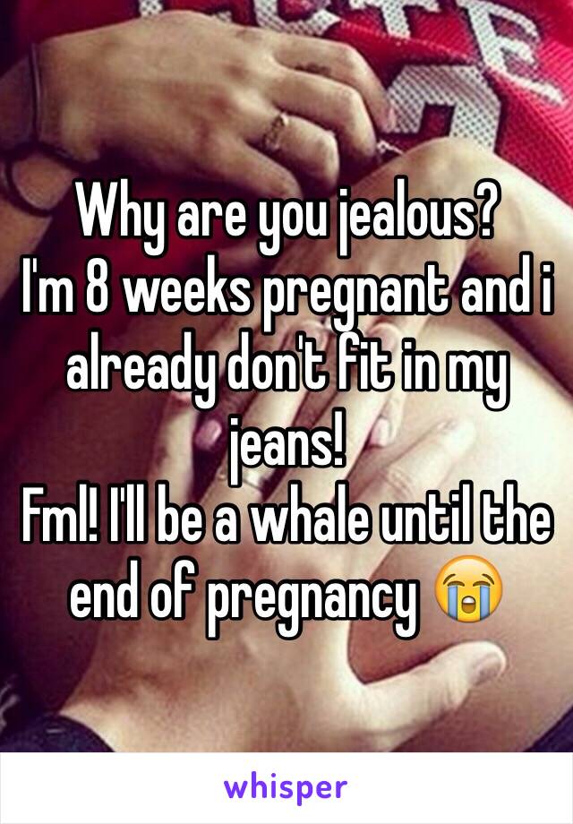 Why are you jealous?
I'm 8 weeks pregnant and i already don't fit in my jeans!
Fml! I'll be a whale until the end of pregnancy 😭