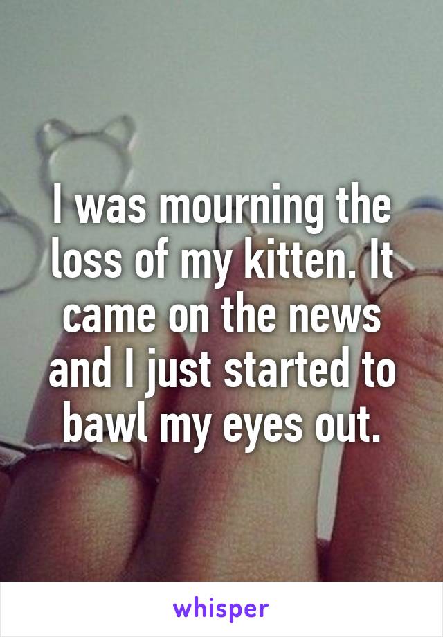 I was mourning the loss of my kitten. It came on the news and I just started to bawl my eyes out.