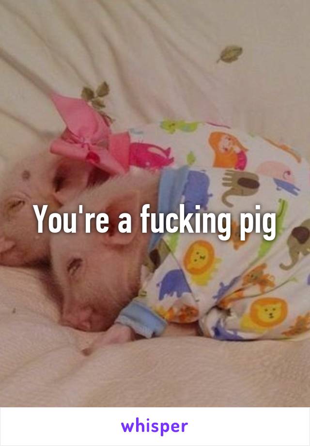 You're a fucking pig