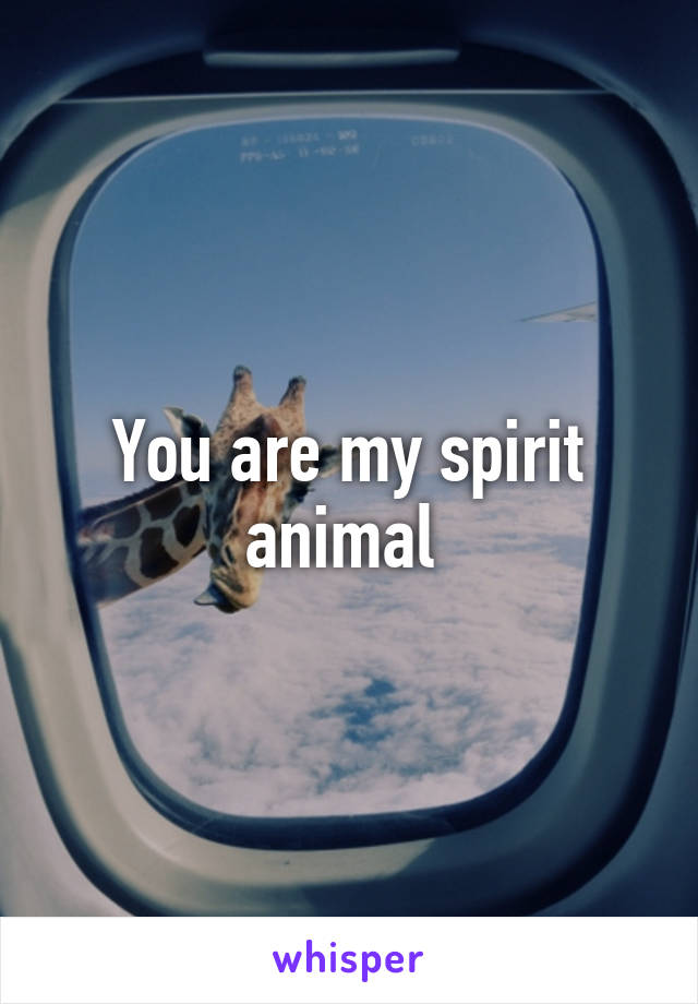 You are my spirit animal 