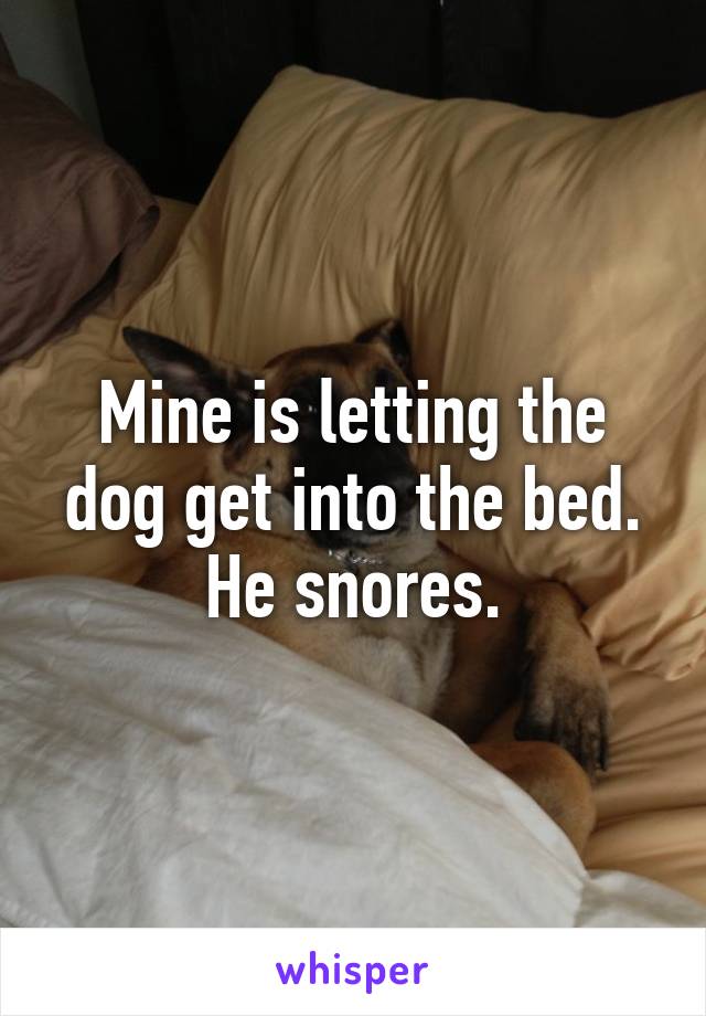 Mine is letting the dog get into the bed. He snores.