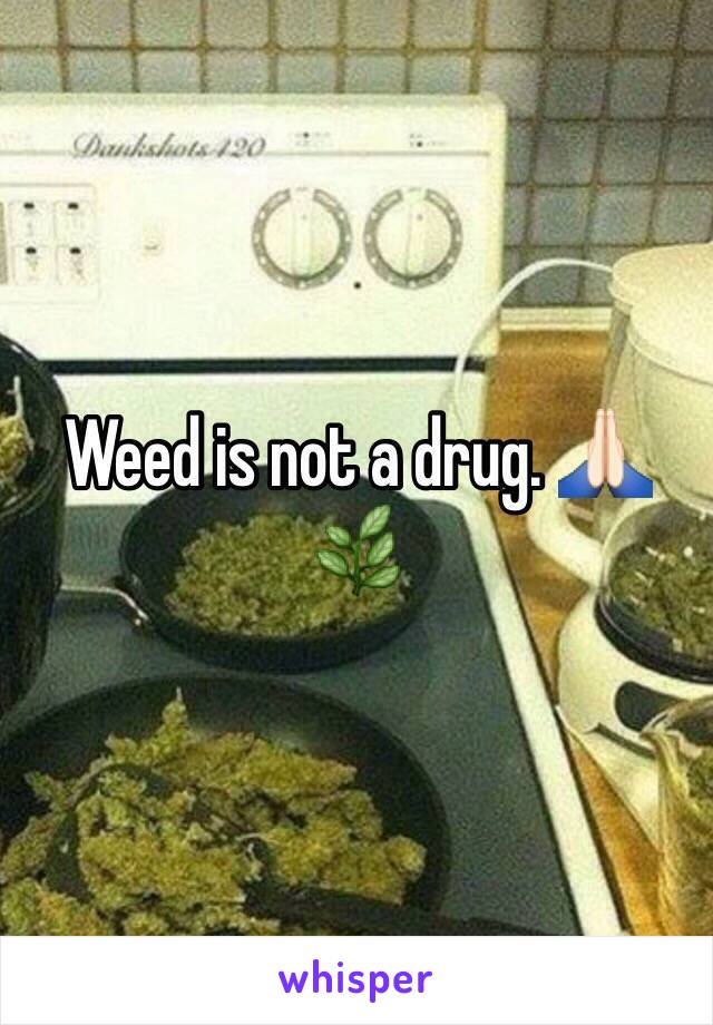 Weed is not a drug. 🙏🏻🌿